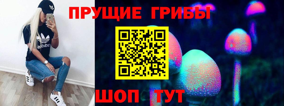 Ангарск  купить закладку  Псилоцибиновые грибы MAGIC MUSHROOMS  Вход с VPN  Псилоцибиновые грибы Cubensis 